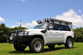 Brisbane 4WD Day Tours image 3