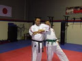 Bujutsu Martial Arts Centre image 4