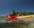 Bundeena Stand Up Paddle image 3