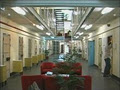 Business Foundations Inc image 1