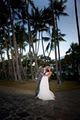 Cairns Wedding Photography - Nathan Kelly image 4