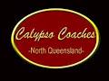 Calypso Coaches image 4