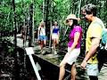 Cape Hillsborough National Park image 2