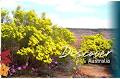 Casey Australia Tours - Coach Depot image 5