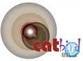 Catbird Media image 1
