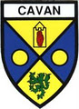 Cavan Constructions image 1