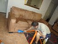 Charm City Carpet Care & Pest Control, Termite Management image 2