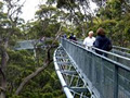 Crikey Adventure Tours image 2