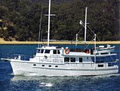 David Glenn Boat Builders logo