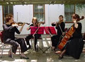 Diva Strings & String Quartet image 1
