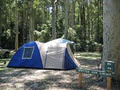 Durras Beach Camping Ground image 3