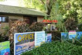 Ellis Beach Oceanfront Bungalows image 4