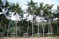 Ellis Beach Oceanfront Bungalows image 5