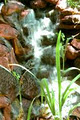 Engadine Bed & Breakfast image 4