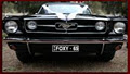 Foxy Mustangs Pty Ltd image 1