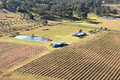 Genesis Vineyard and Farmhouse logo