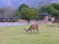 Grampians Motel image 2