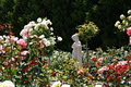 Grandis Cottages image 1