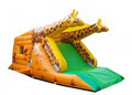 Grasshopper Jumping Castles image 3