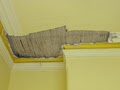 Hawthorn Plaster Repairs Specialist image 6