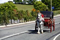 Heritage Carriages image 5