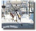 Honey Badger Charters logo