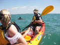 Kayak Noosa image 2