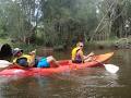 Kayak tours image 6