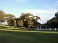 Kings Park image 2