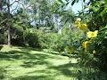 Kuranda Rainforest Accommodation Park image 3