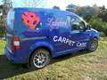 Ladybird Carpet Care logo