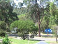 Lane Cove River Tourist Caravan Park image 4