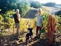 Mt Lofty Ranges Vineyard image 2