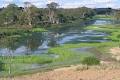 Murray River Expeditions image 4