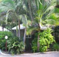 Nambour Rainforest Holiday Village image 1