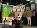 Natural Painting Solutions image 1