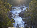 Ophir Valley Cabins image 2