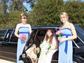 Oz-Limos Bairnsdale image 3