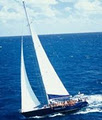 Ozsail image 3