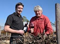 Patrick of Coonawarra image 2