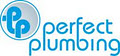 Perfect Plumbing Qld image 2