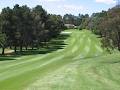 Queanbeyan Golf Club image 4