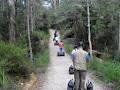 Segway Tasmania image 2