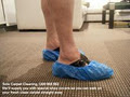 Solo Carpet Cleaning image 2