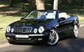Sports Car Rentals Online image 1