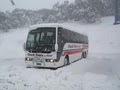 Sunbury Coaches image 5