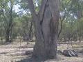 Sunraysia Environmental image 5