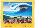 Surfaris image 3