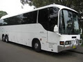 Sydney Coaches image 3