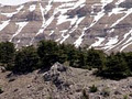 TANNOURINE WATER image 2